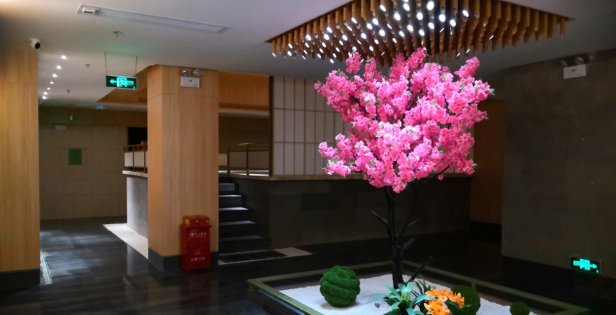 广元市水疗会所